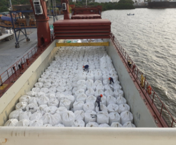 IN BULK SHIP